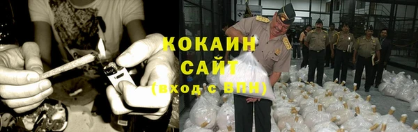 твердый Вяземский
