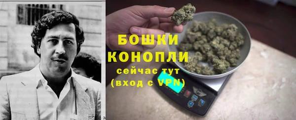 твердый Вяземский