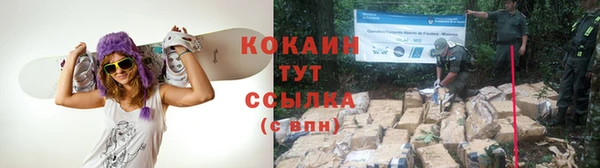 твердый Вяземский