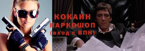 твердый Вяземский
