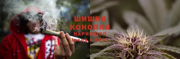 spice Вязники