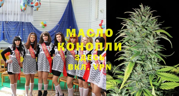 твердый Вяземский