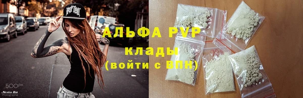 твердый Вяземский