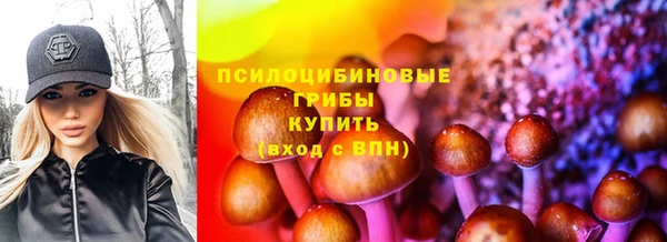 твердый Вяземский