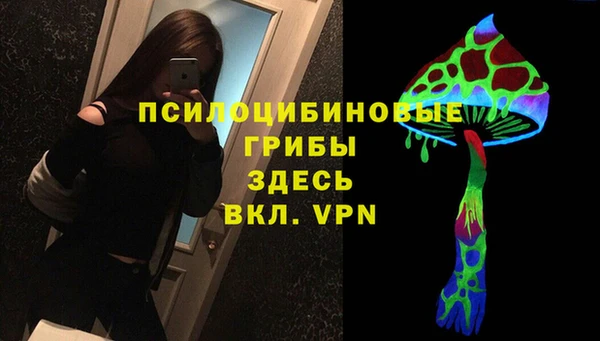 spice Вязники