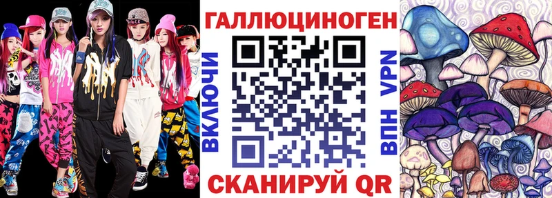 где продают наркотики  Чегем  Псилоцибиновые грибы ЛСД 